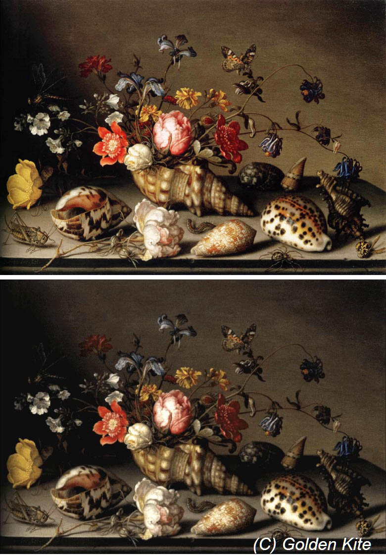 Схемы golden kite