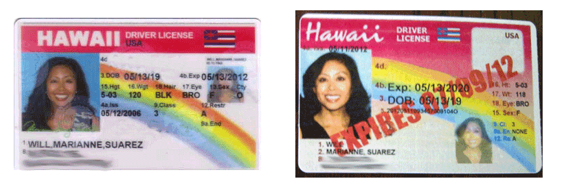 hawaii drivers license template psd free download hawaii drivers license template psd free download