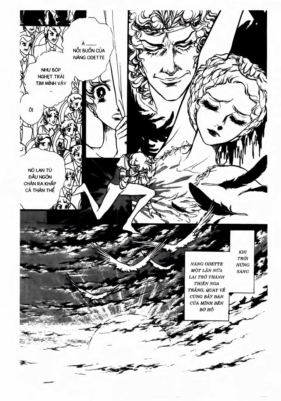 Swan - Vũ Khúc Thiên Nga Chap 42 - Next Chap 43