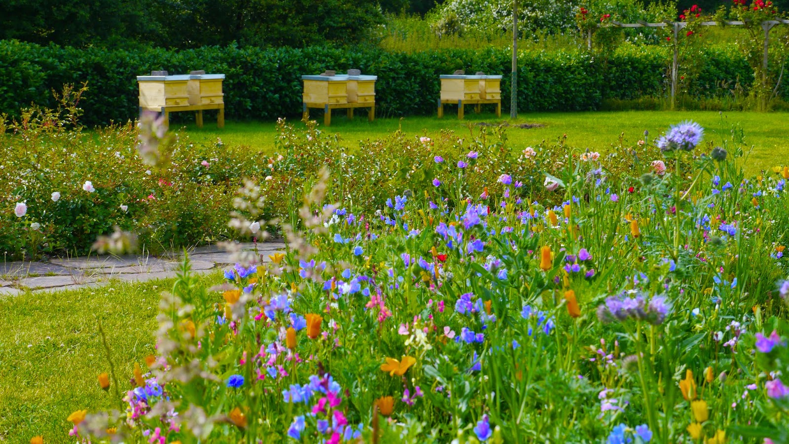Two Men and a Little Farm BEEHIVES IN FLOWER GARDEN, INSPIRATION THURSDAY