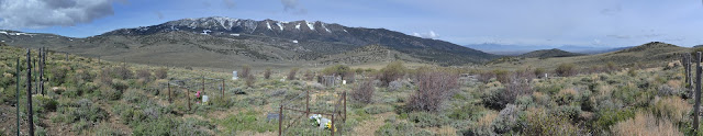 from fence to fence
