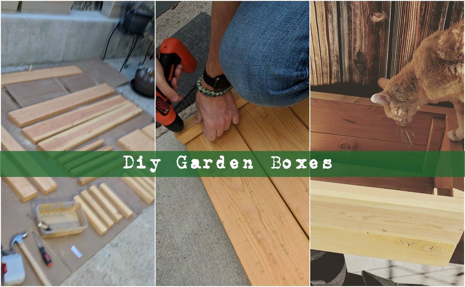 DIY Garden Boxes