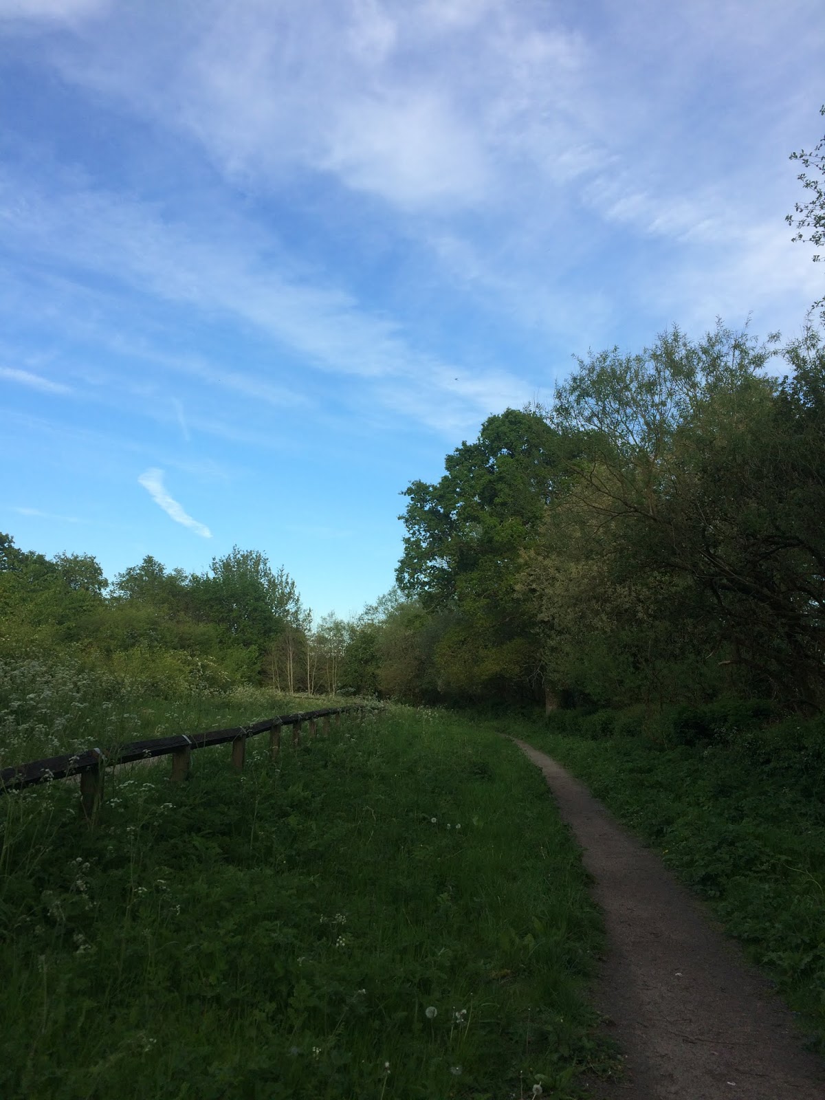 other thoughts Mapperley Reservoir, Shipley Country Park