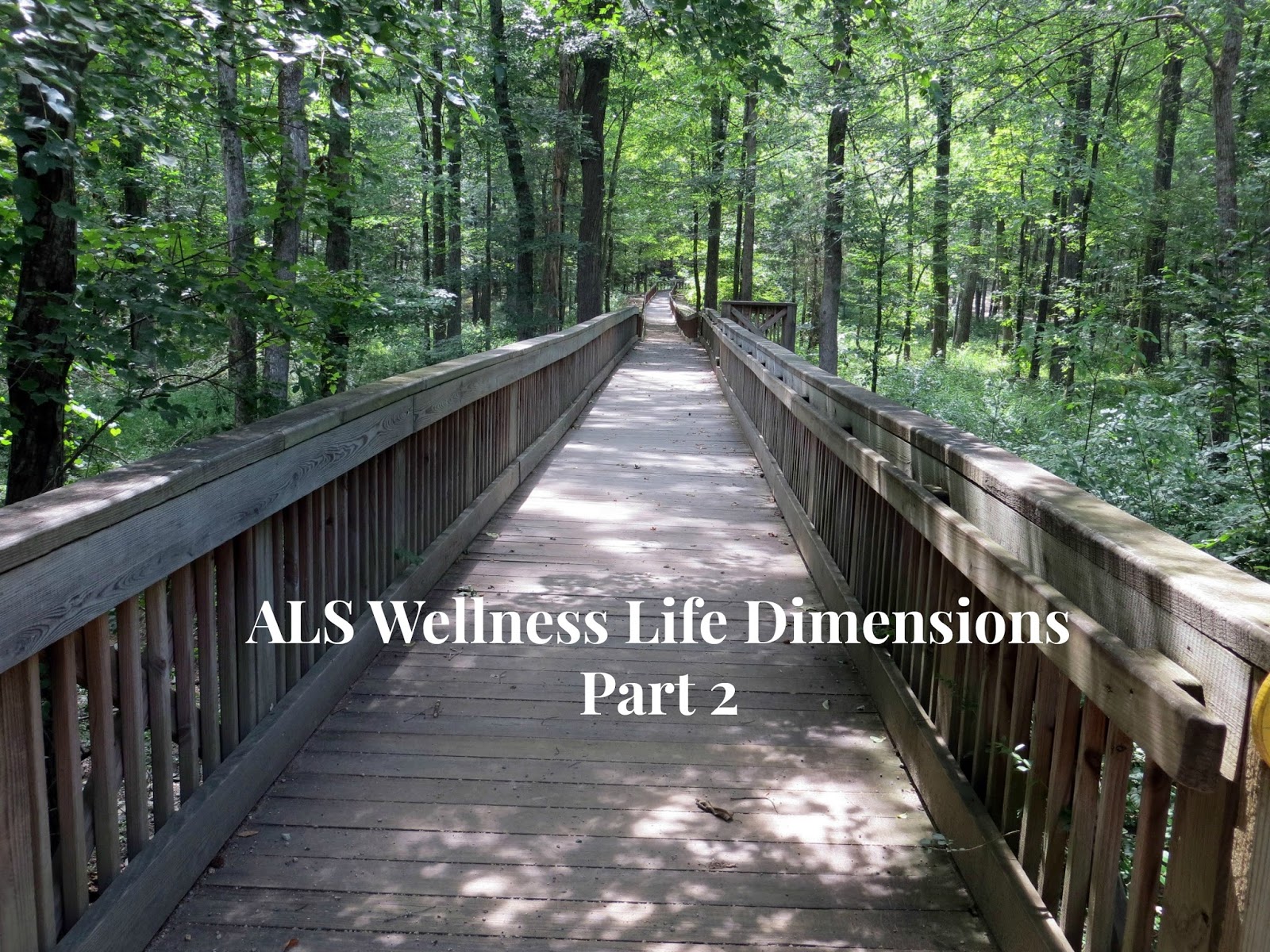 ALS and Wellness Blog Just Three Steps How to Live a Balanced Life