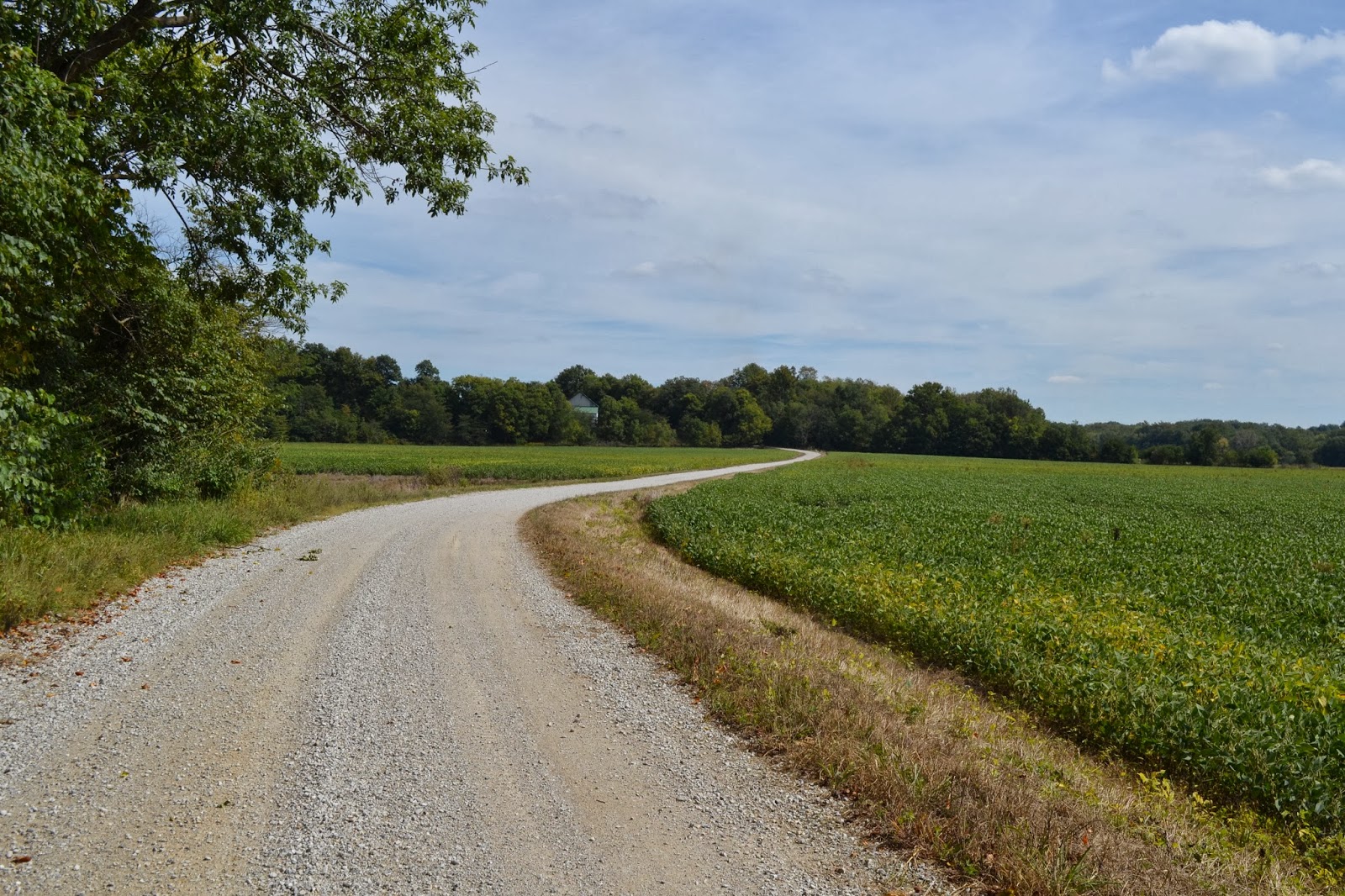 Hoosier Happenings Down an old dirt road in Summer