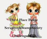 3rd Place at Scrapbook Stamp Society