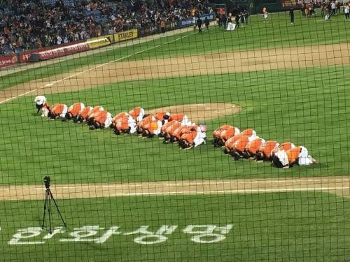 theqoo inserted image