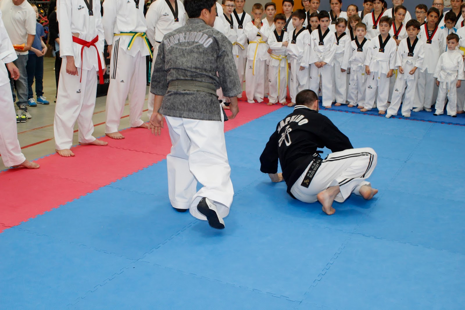 taekwondo ajută să piardă în greutate)