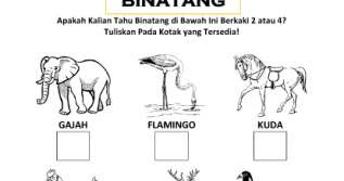Menulis Angka Membedakan Binatang Berkaki 4 Empat Dan Berkaki