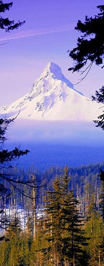 Mount Hood National Forest, Oregon and 50+ Secret Places in America That Most Tourists Don't Know About
