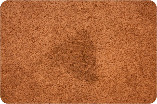 carpet stain