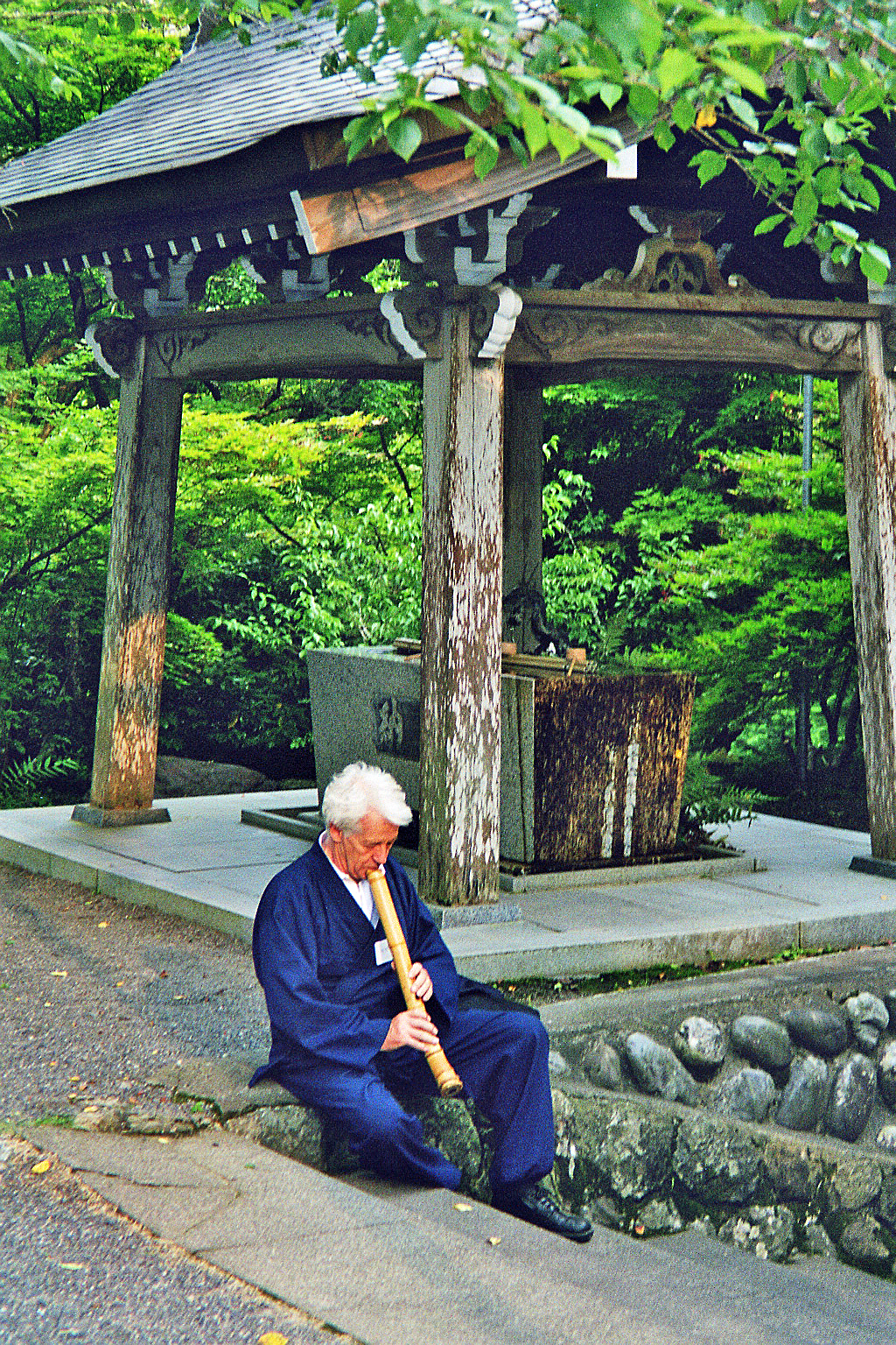 Buddha Blog Berlin 2016