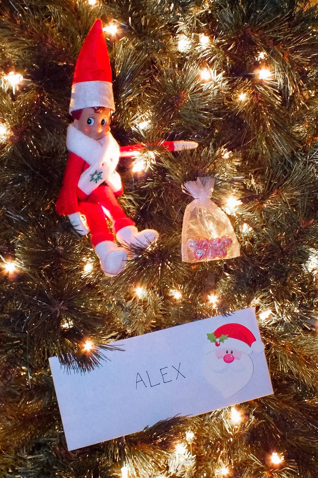 Mr. Jingles' Adventures Magic Elf Seeds Part 2