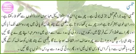 Tulsi for treating acne in urdu hindi