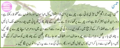 Tulsi for treating acne in urdu hindi