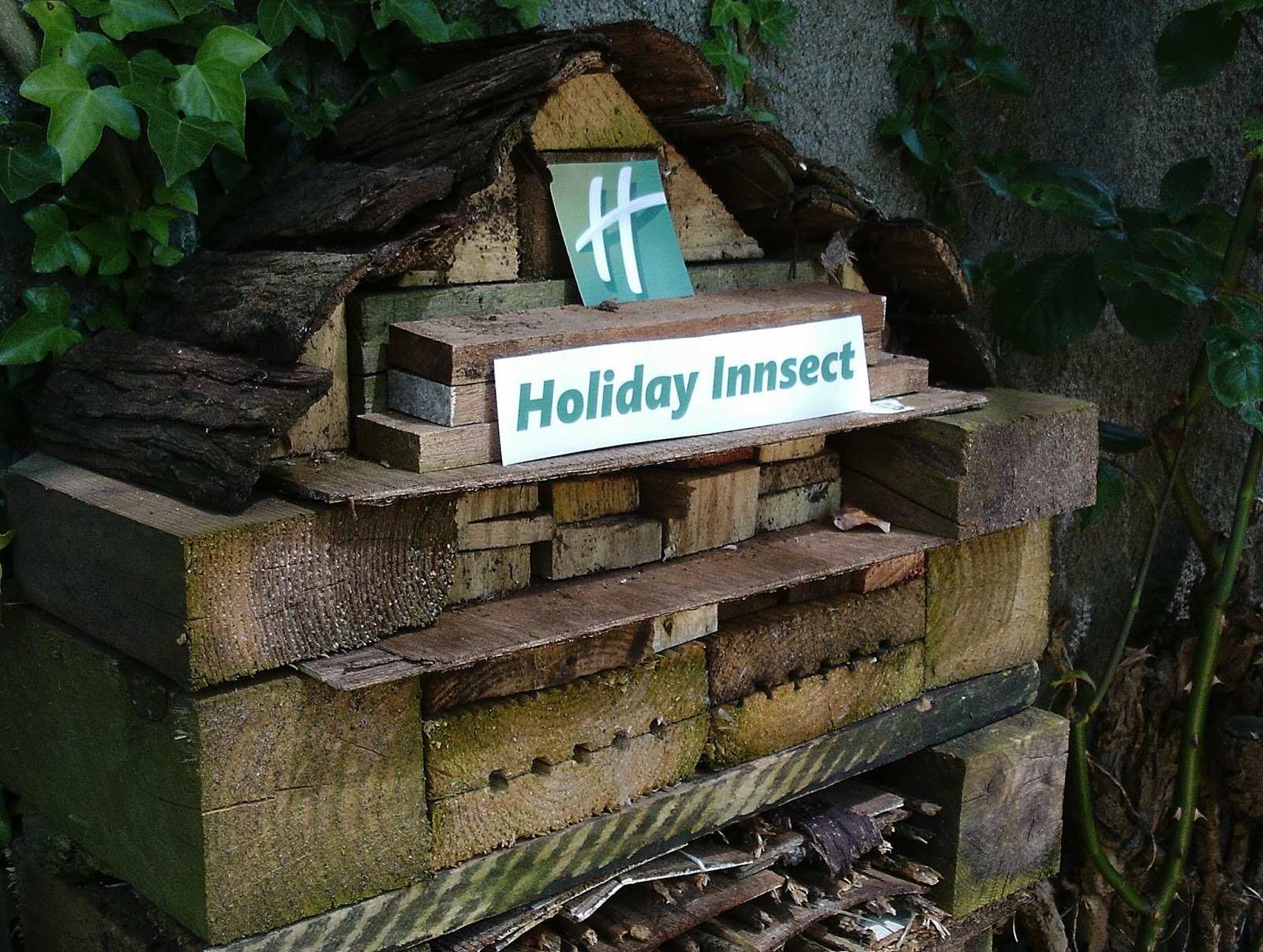 Bug hotel preschool picture