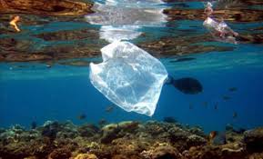Contaminacion de las aguas por bolsas plasticas