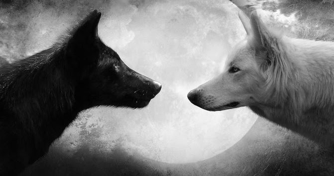 EL RINCÓN DE GUNDISALVUS: Hay dos lobos que andan sueltos