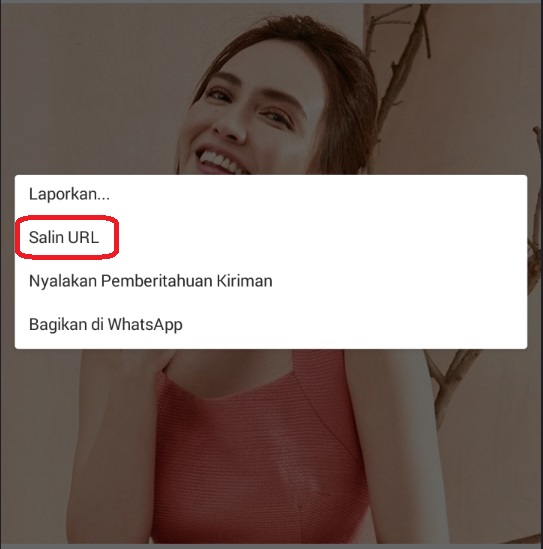 Cara Download Foto di Instagram pakai Browser - Info Solah