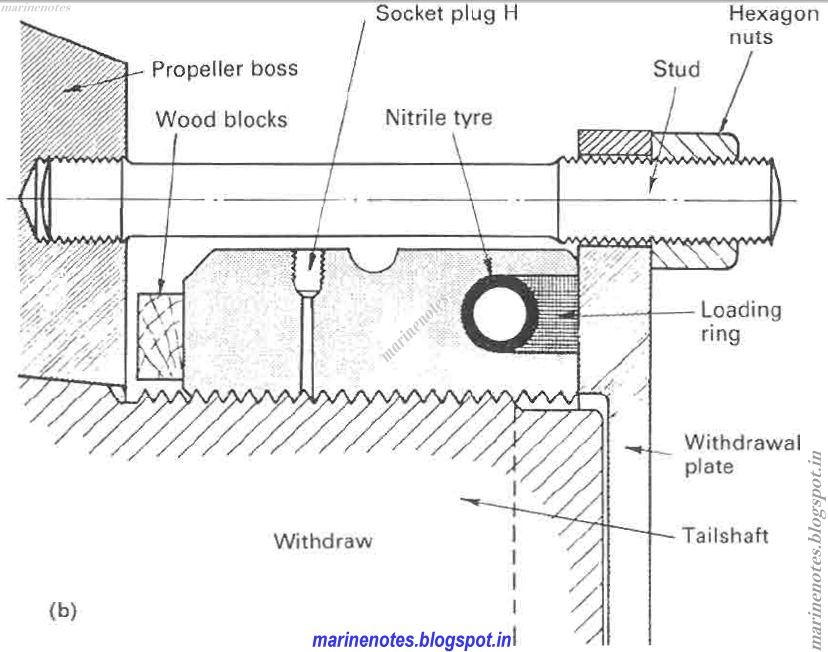 What is pilgrim nut ? and its use and purpose ? Marine Notes