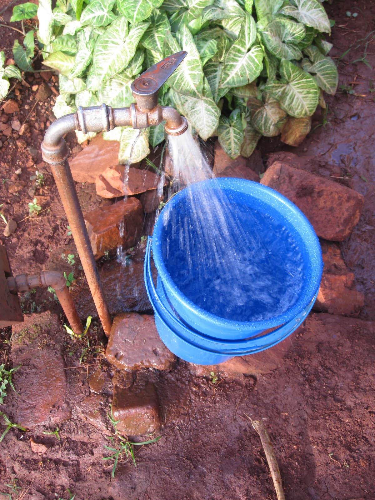 Sar and Kels Howto Friday How to bucket bathe