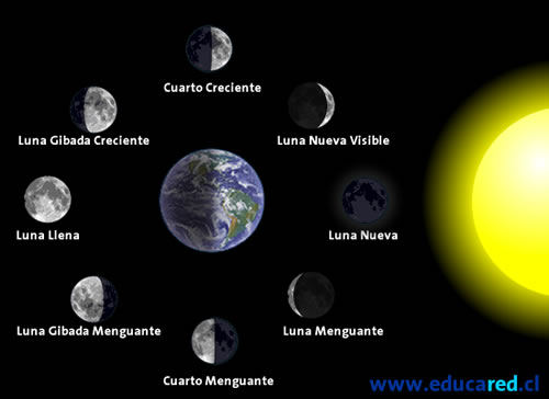 Posición del Sol, la Luna y la Tierra en las fases lunares