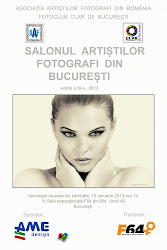 Salonul artistilor fotografi din Bucuresti