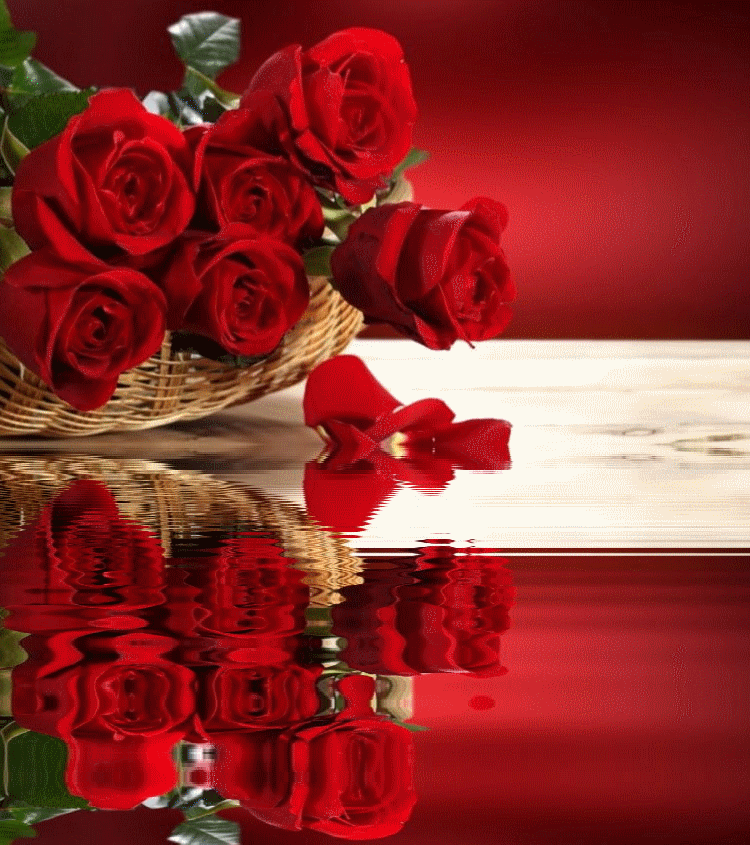 Animagif Gif animados de rosas