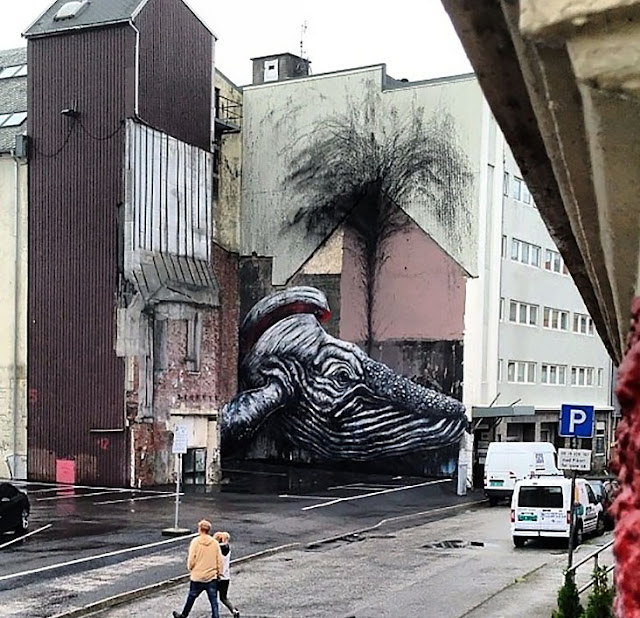 Street Art By ROA In Norway For Nuart.