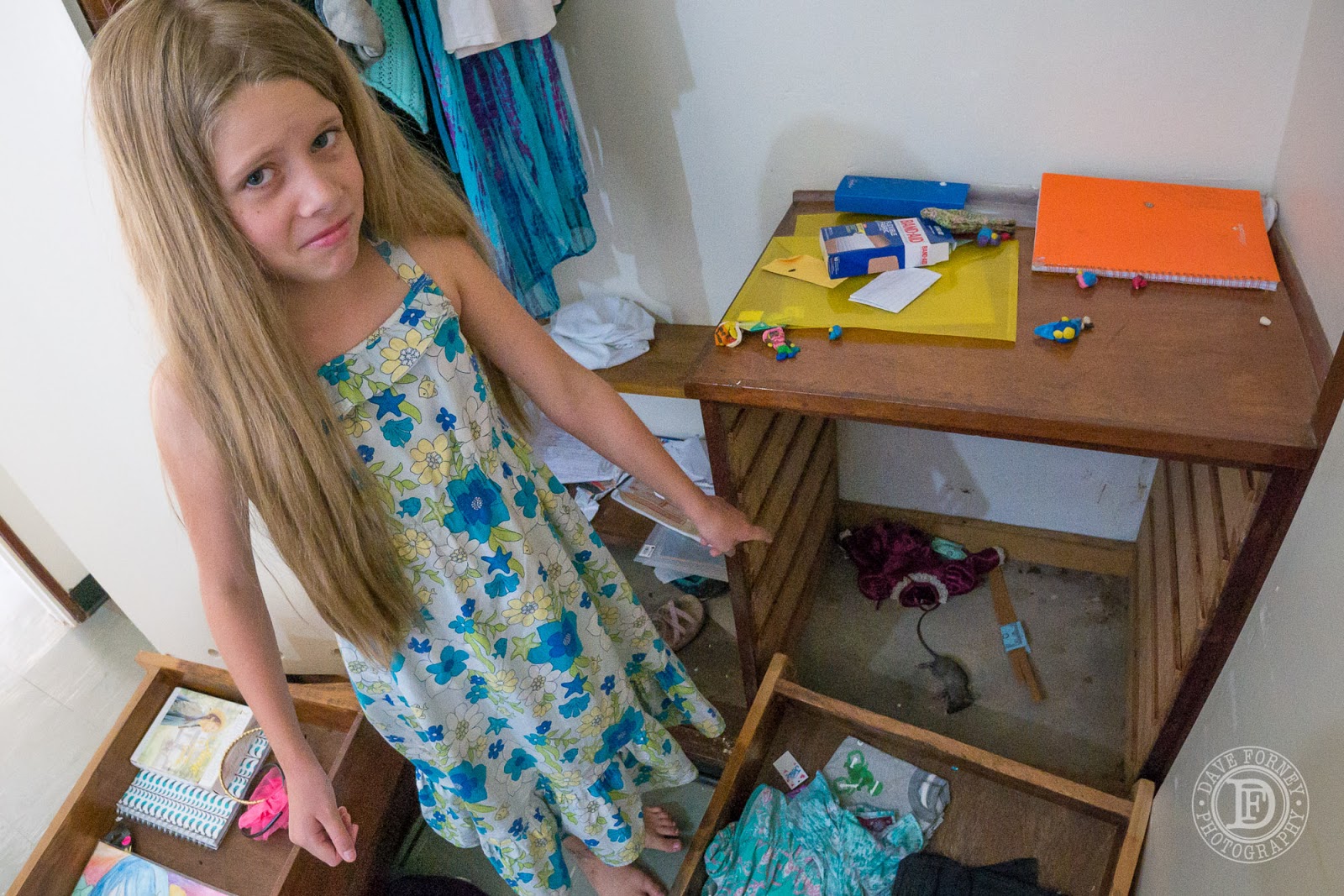 The Forney Flyer Our Little Pack Rat (And other animals)