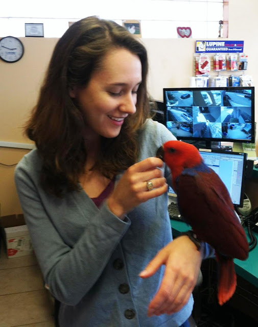 Bird In Everything Veterinarian Birds