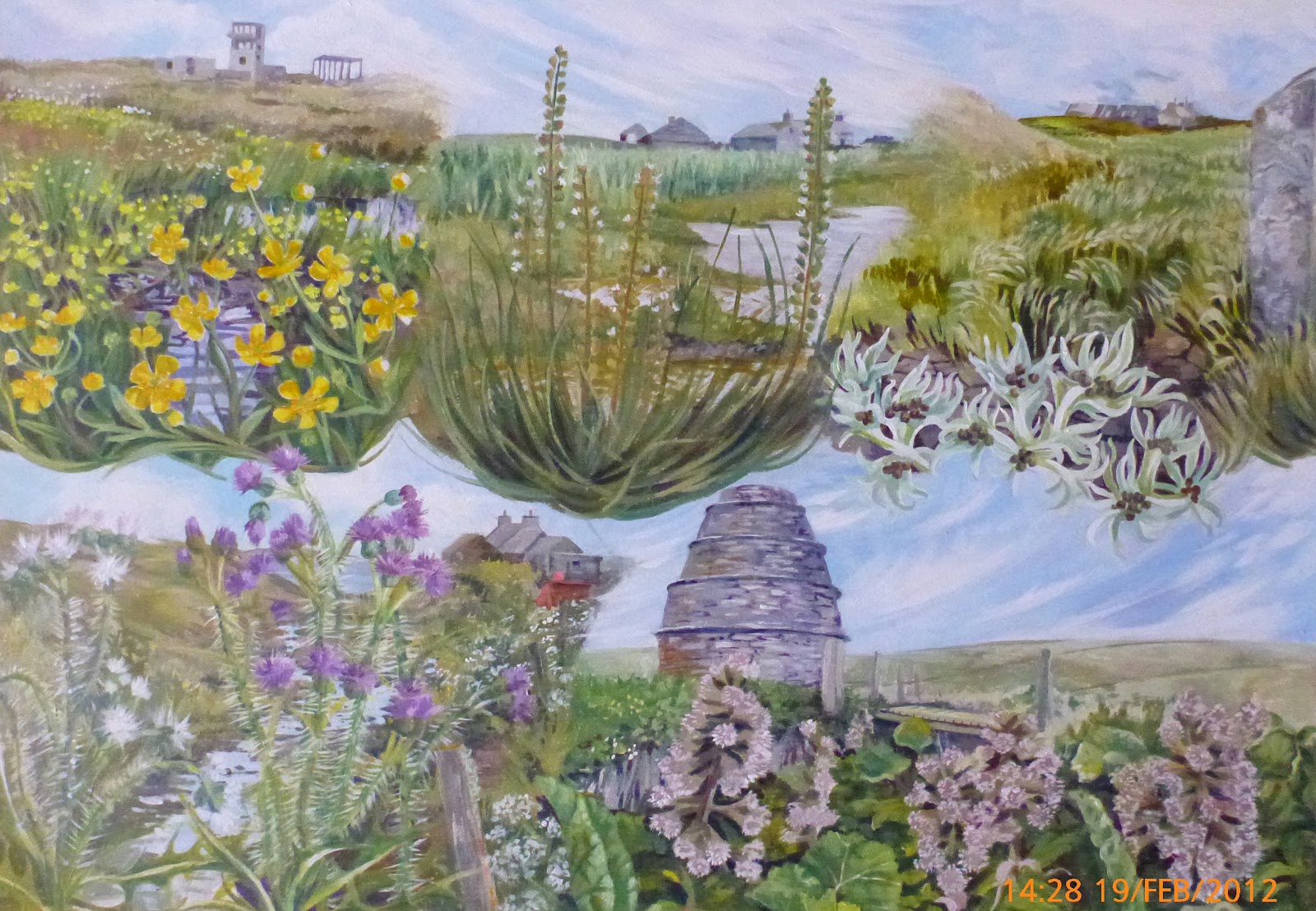 The Orkney Book of Wildflowers Five flowers of freshwater and wet