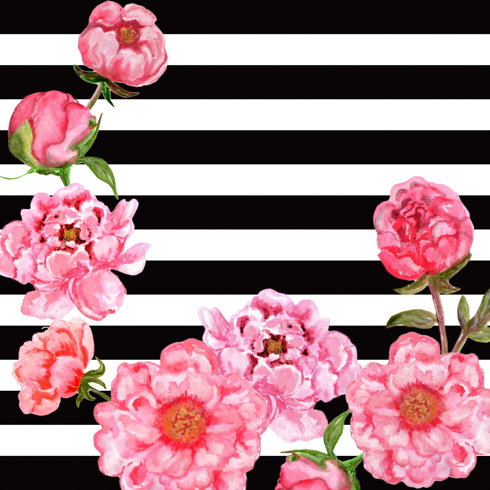Black And White Flowers With Pink