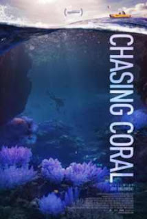 En busca del coral en Español Latino