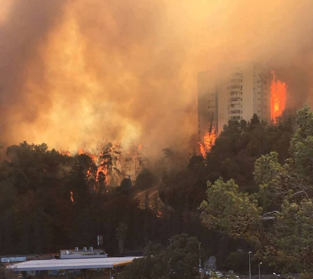 [Foto] Merinding.. Kebakaran Di Israel Seperti Saksikan Neraka, Apakah ini Adzab ALLAH..?!