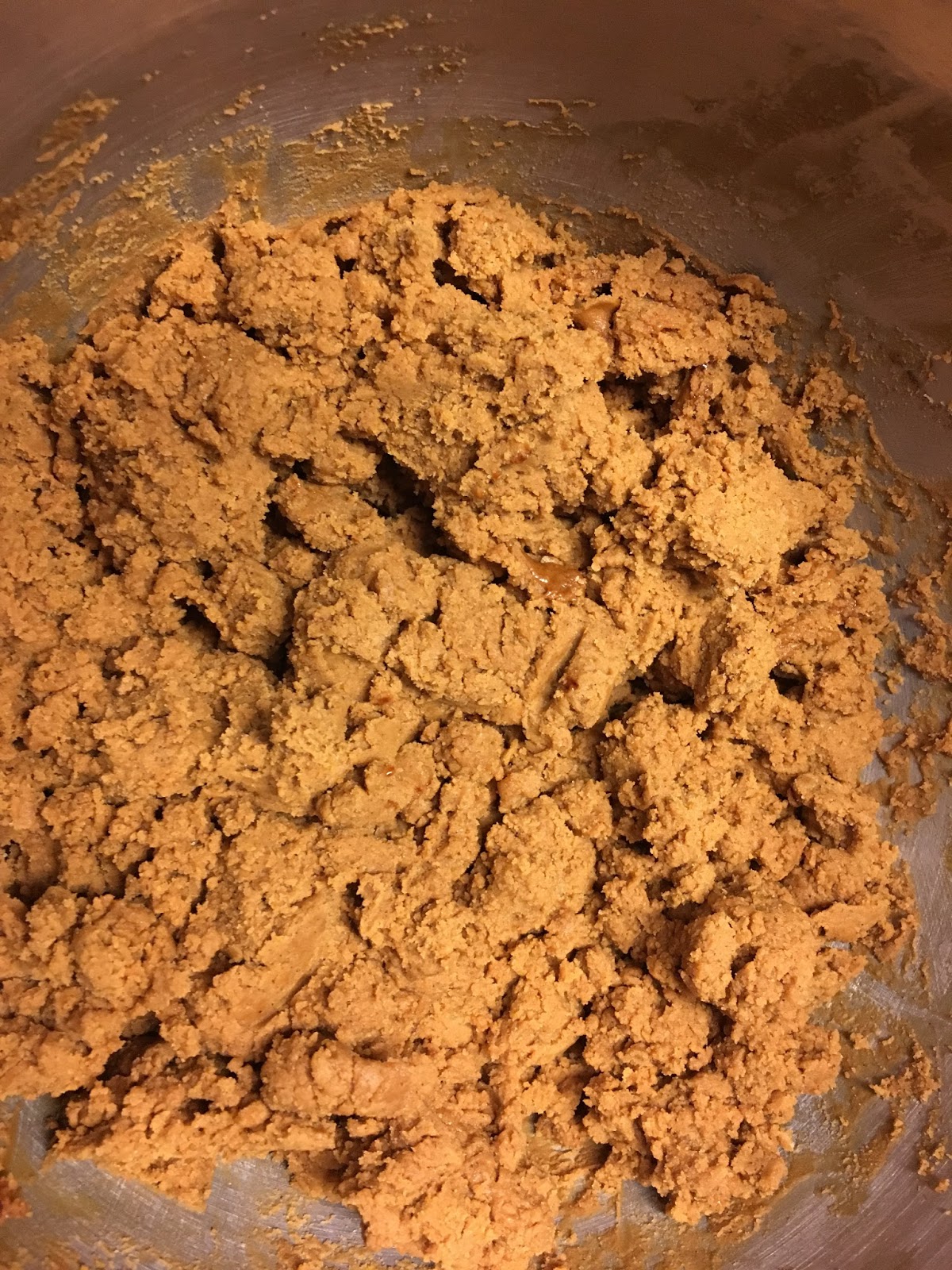 Author Michelle Shocklee Authentic Civil War Molasses Cookies