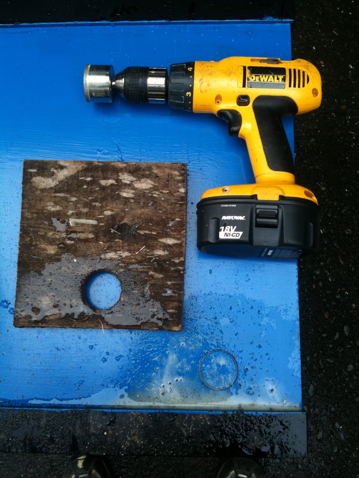 Suzuki x Kageyama Top View Ranchu Drilling holes in tanks