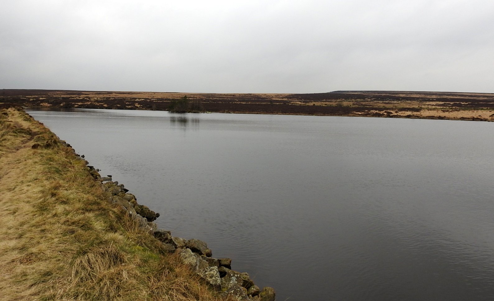 WEST YORKSHIRE BIRDING Cold Edge Dams