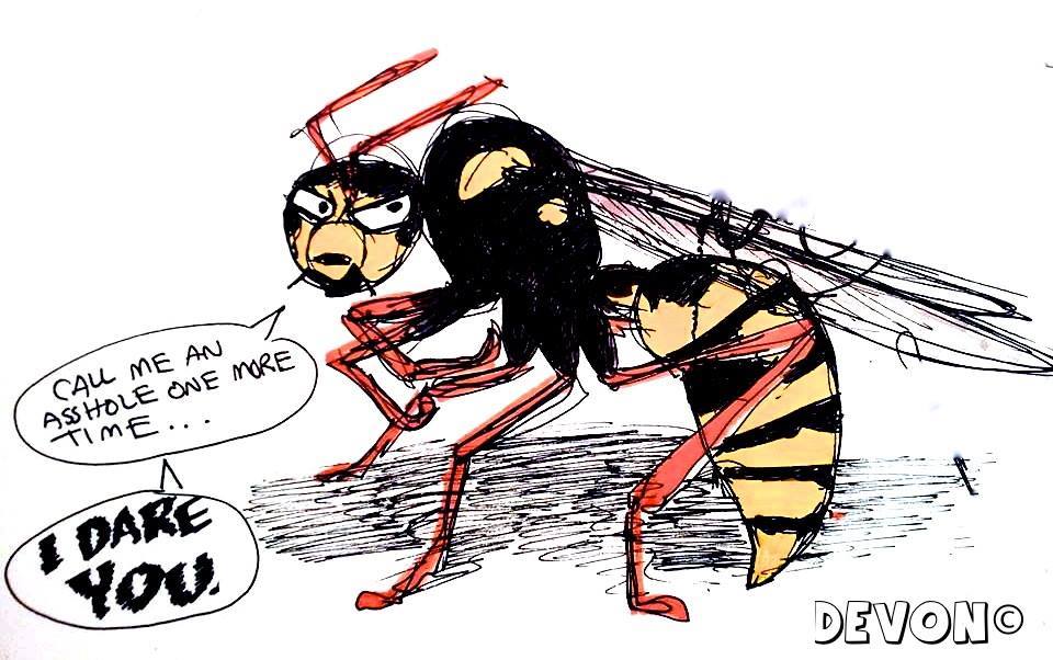 Bee vs. Wasp Memes Perpetuate Ignorance.
