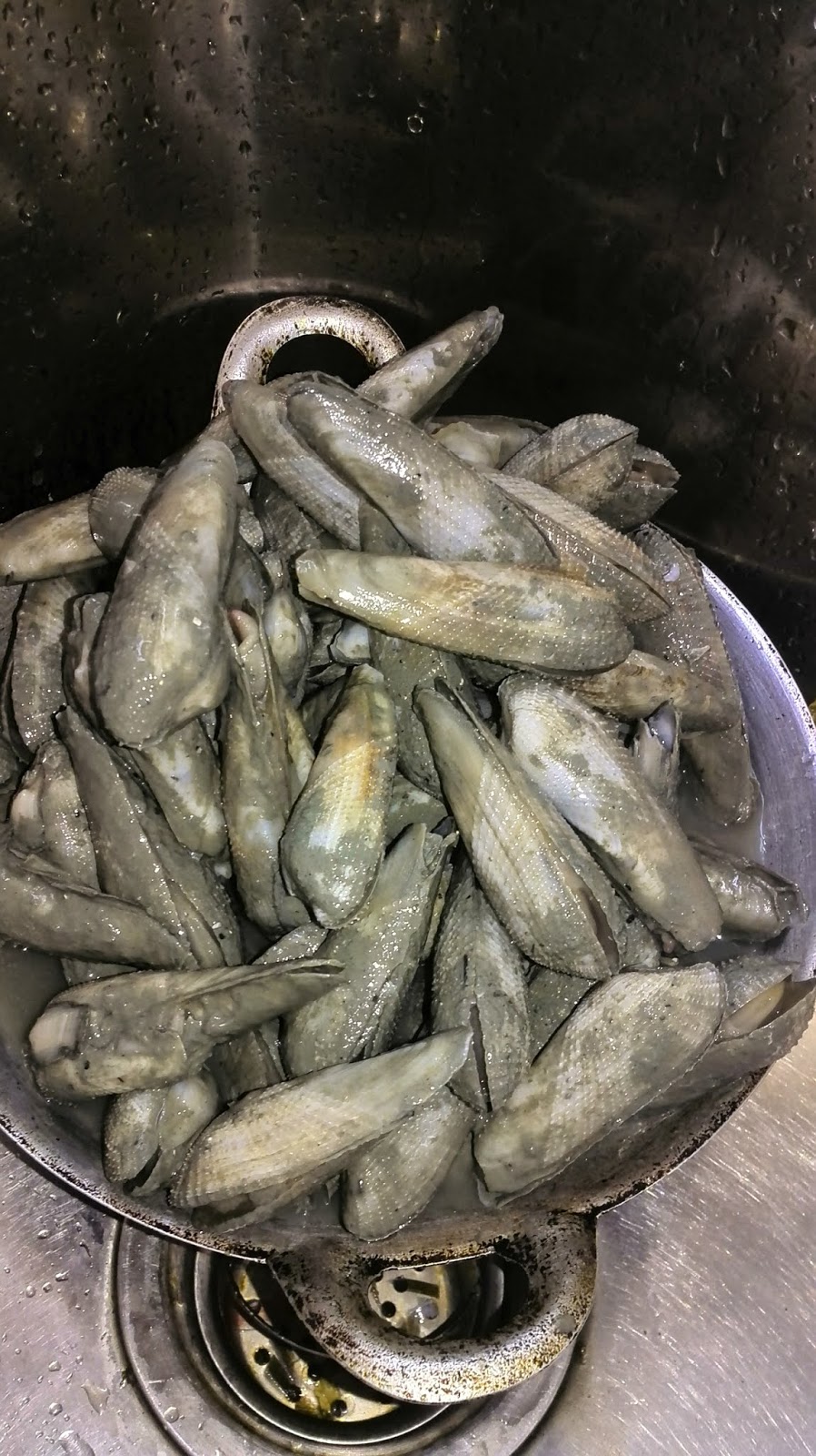Namakucella Mentarang Masak Lemak Cili Api