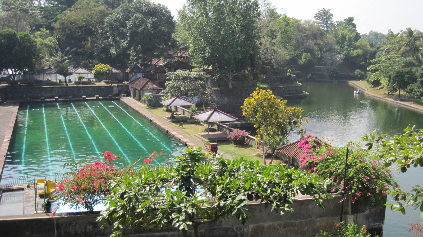 Taman Suranadi Hutan Lindung Asri Dan Kolam Renang Alami Yang Menenangkan Di Lombok