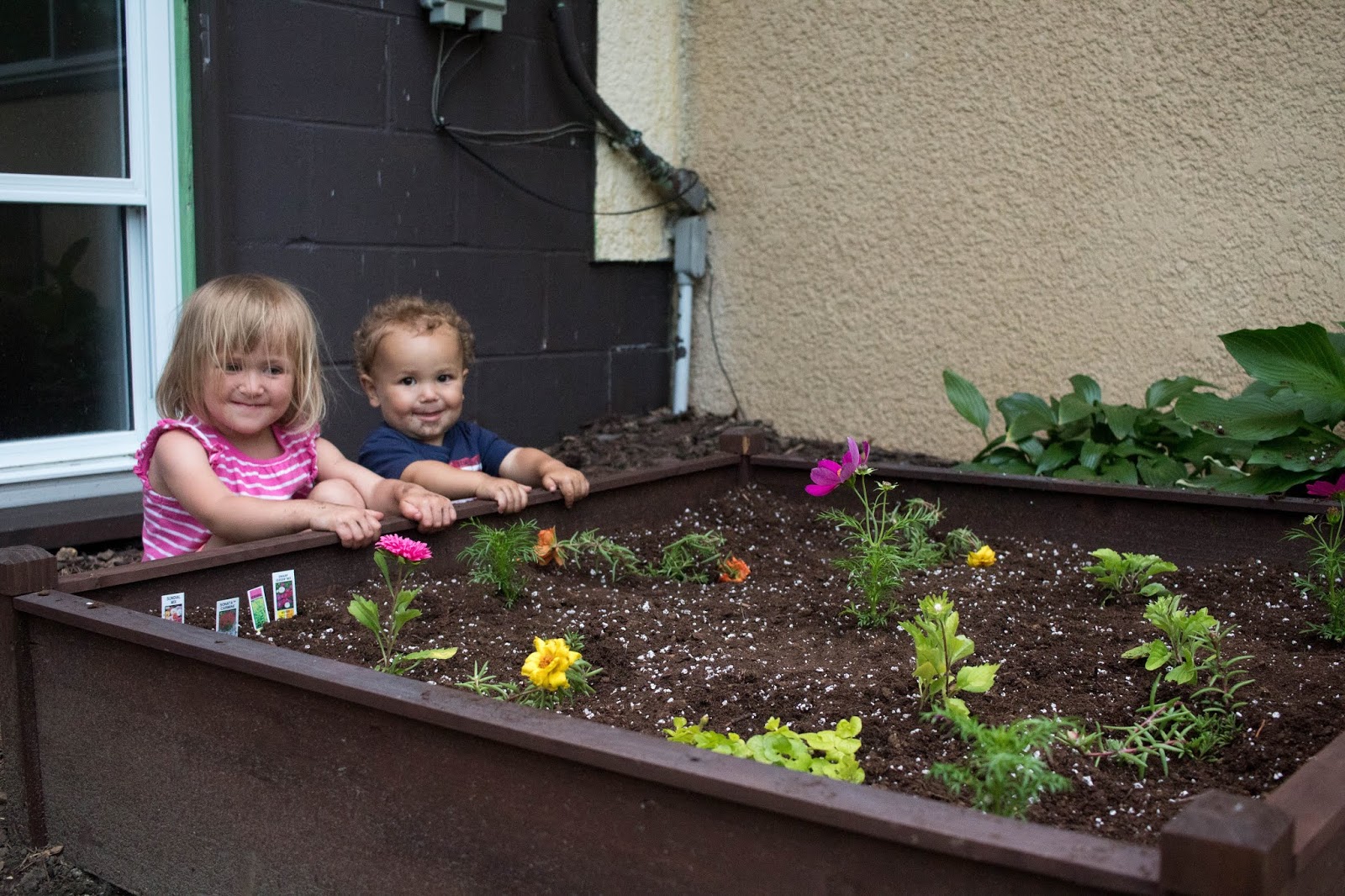 Our Children's Garden and Tips to Make your Own