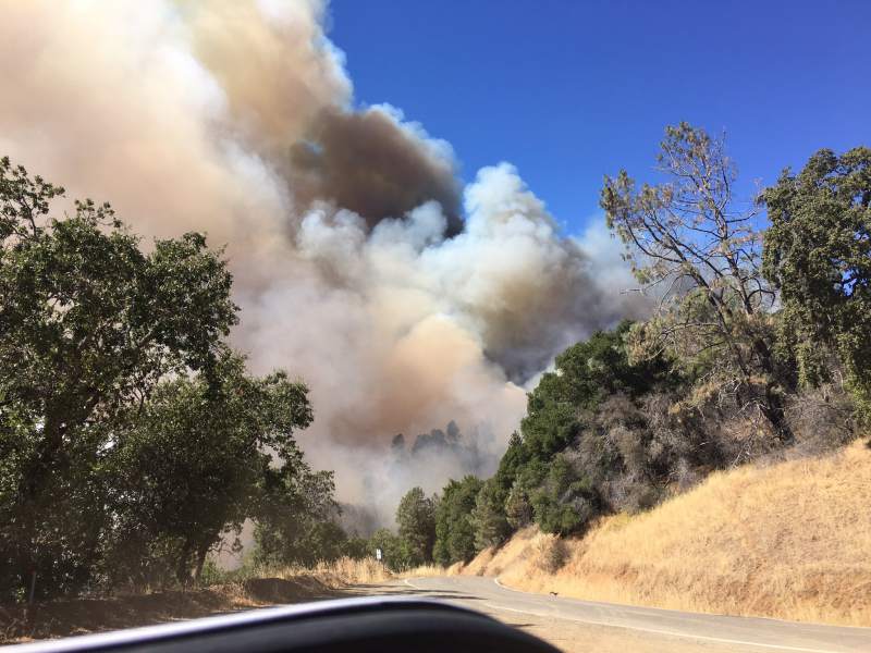 MEC&F Expert Engineers A wildfire fueled by high temperatures and dry
