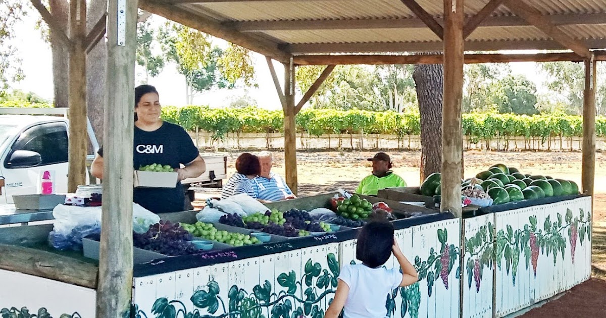 Getting Little Albs to Buy Grapes A Singaporean In Australia