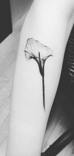 Este raio-x lily