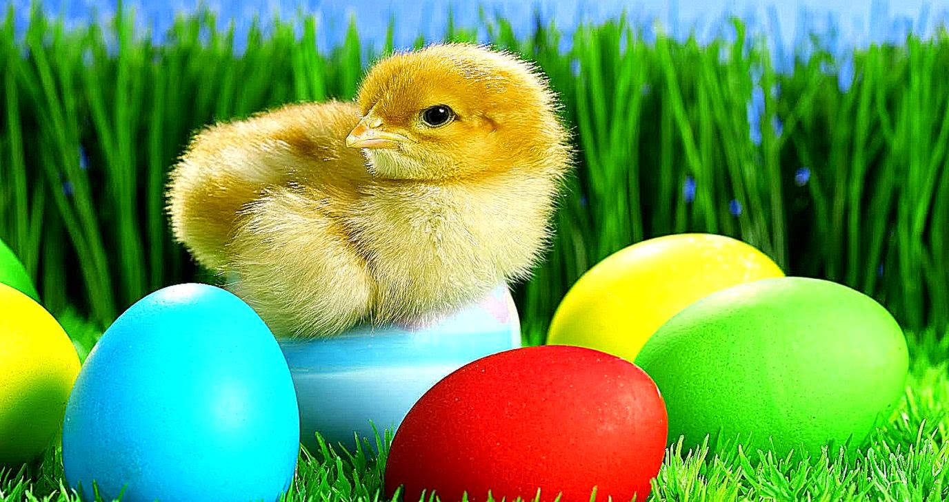 Easter Wallpaper 51 222914 Images HD Wallpapers