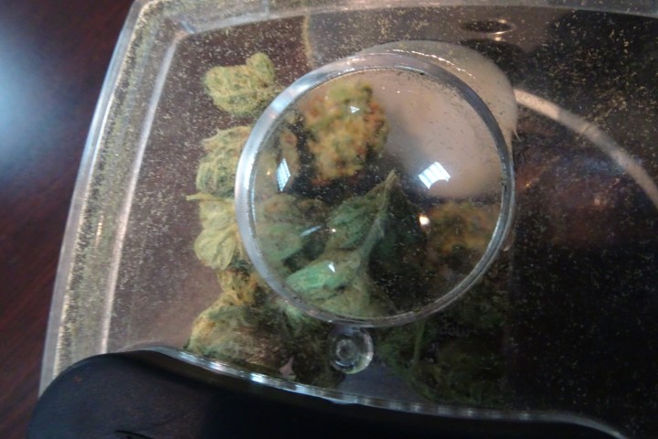 eufloria recreational marijuana eufloria recreational marijuana