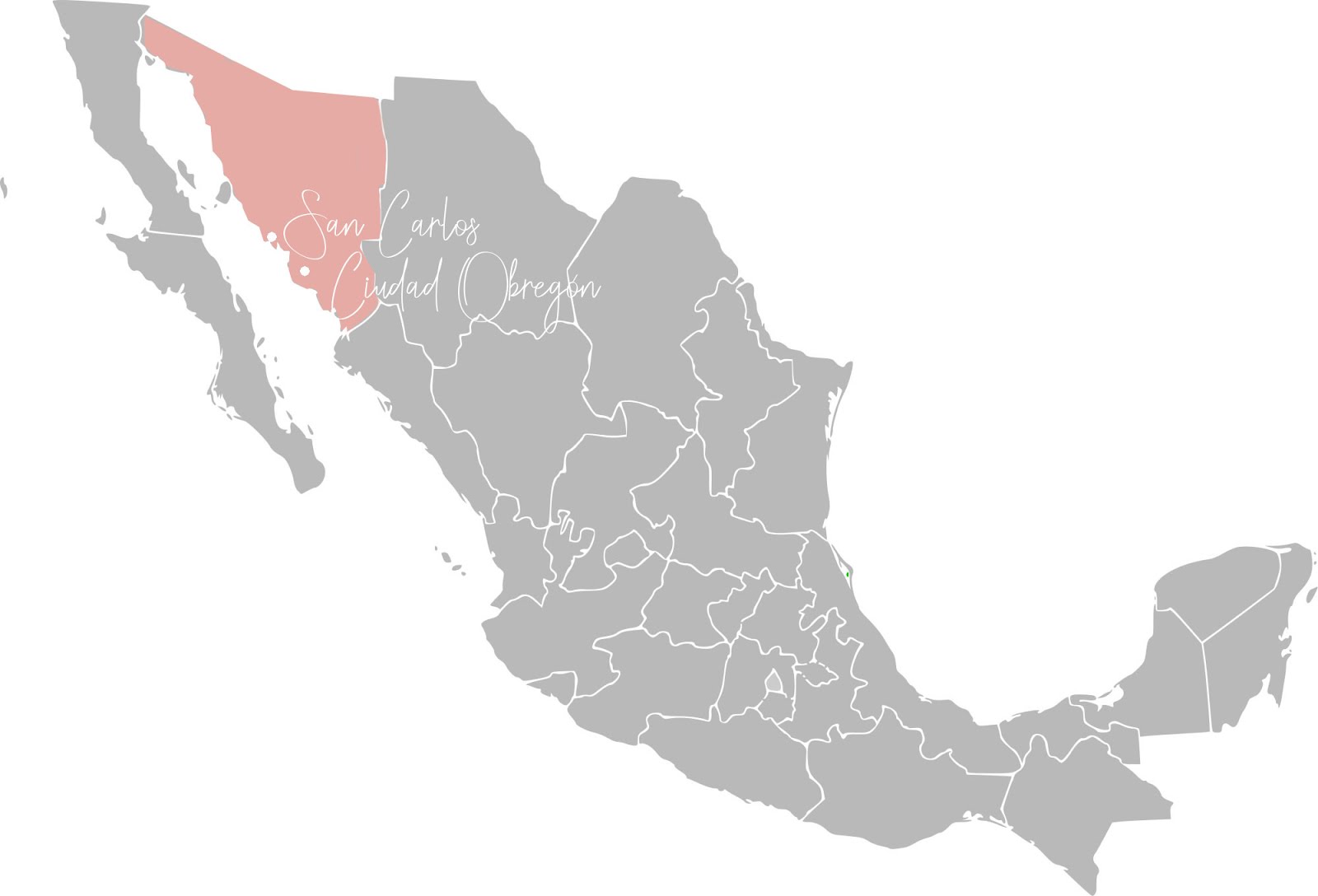 carte du mexique représentant en orange la zone du nord ouest avec les villes de ciudad obregon et san carlos écrites en blanc
