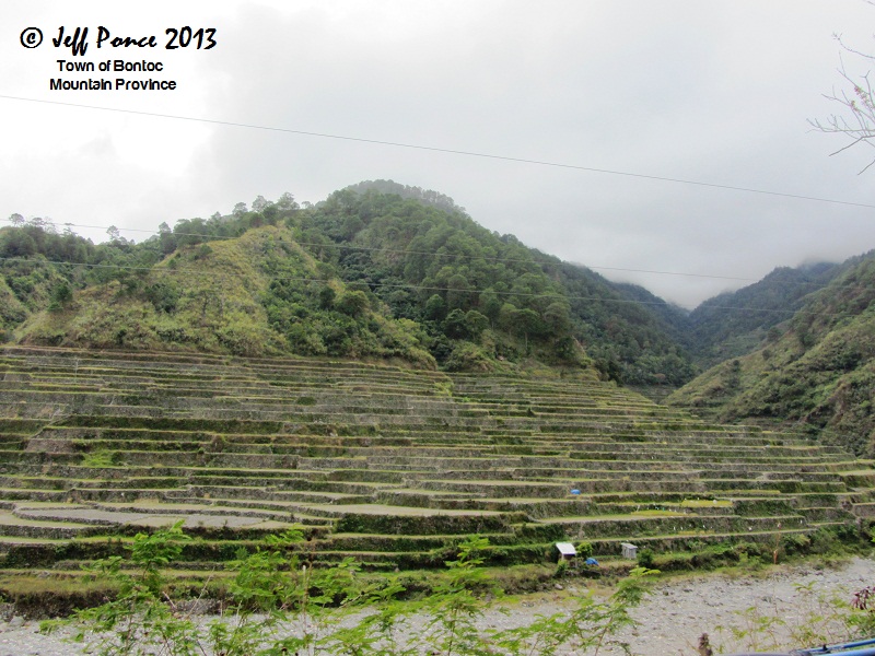 Bisayang Manlalakbay around the Philippines: Bontoc Rice Terraces along ...