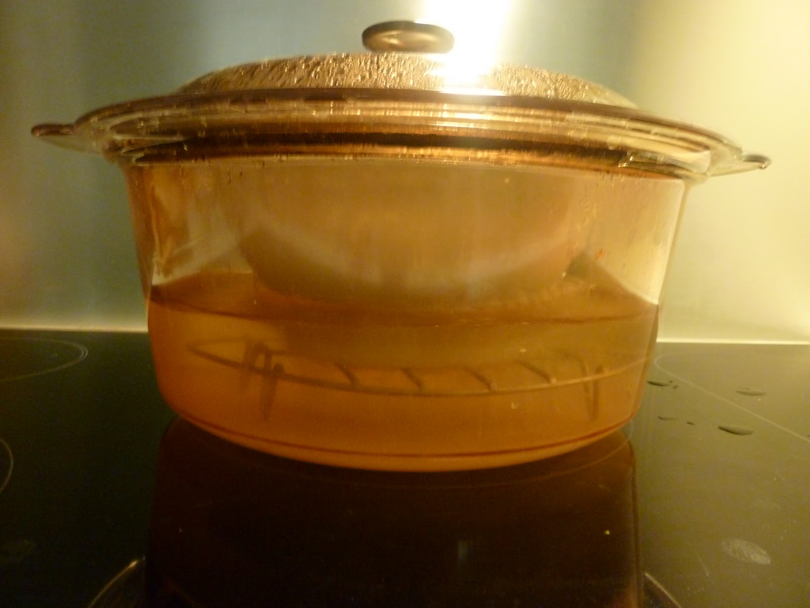 Family FECS How to DoubleBoil Chinese Soup without the Chinese